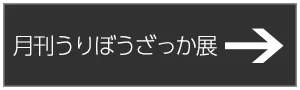 月刊うりぼうざっか展